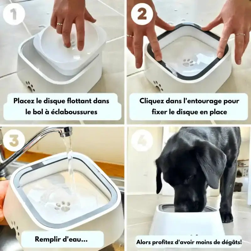Personne nourrissant un chien avec de l’OG Water Basin