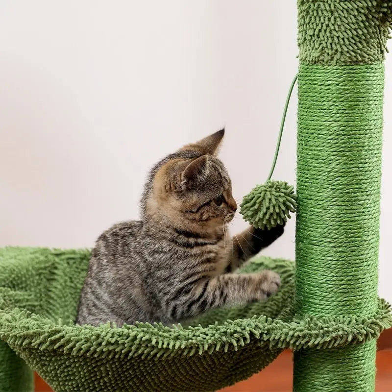 Chat jouant avec un jouet dans un arbre à chat : Arbre à chat original avec corde en sisal