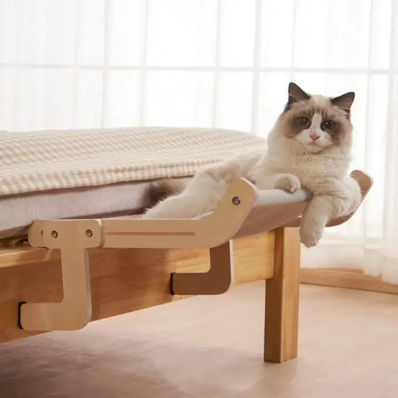 Chat couché sur un lit en bois dans un hamac suspendu doux pour chat, hamac suspendu relaxant pour animal de compagnie