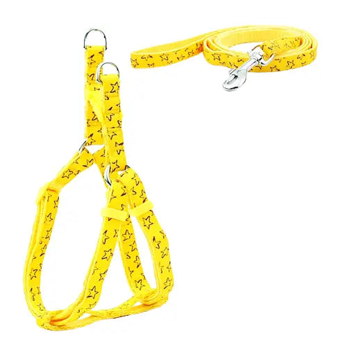 Harnais pour Jack Russel