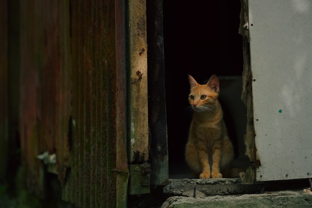 Dónde comer en Cabo de Gata según la ciencia del sabor