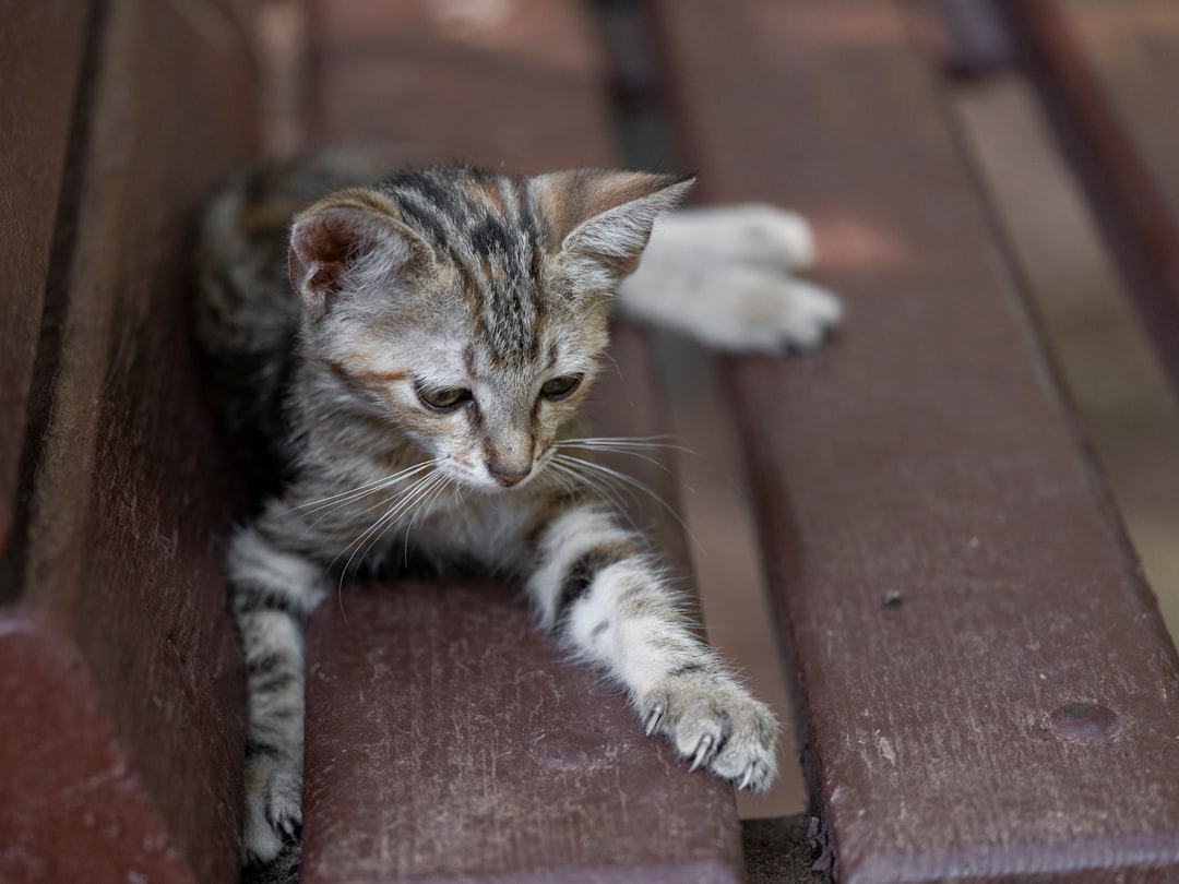 Cuándo empiezan a gatear los bebés según la ciencia