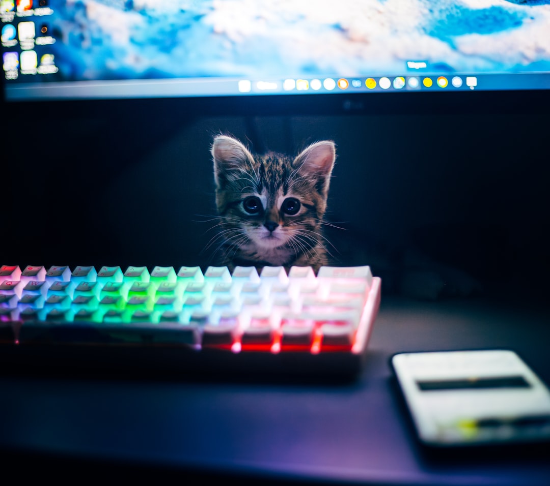 En Popüler Kedi Türleri Bilimsel Özellikleriyle Tanıyın