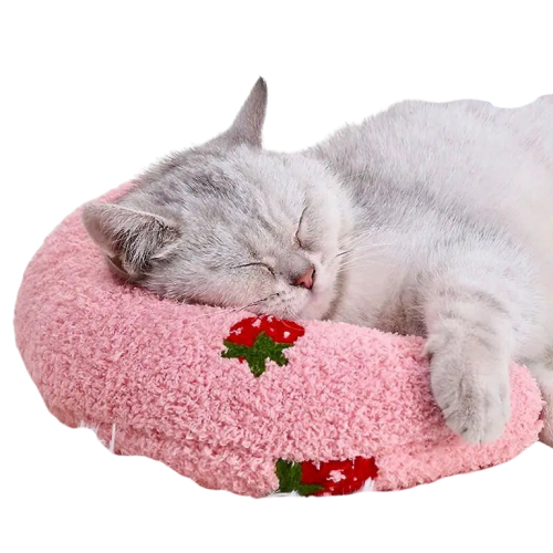 Lot de coussins pour chat | CoussinLune™ Transparent Background