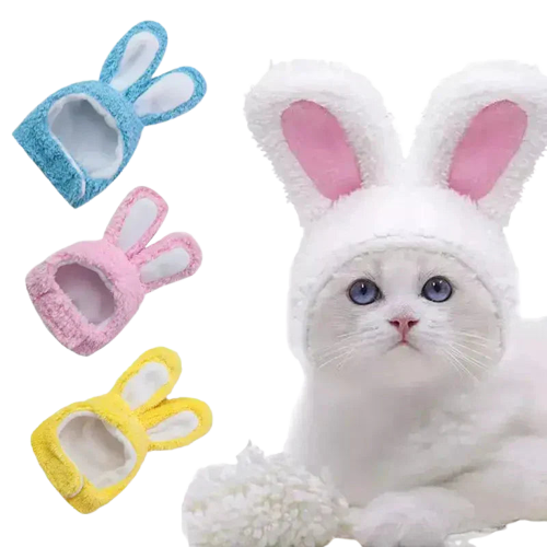 Chat blanc portant un chapeau de lapin et des pantoufles ; douceur et bonnet d’inspiration lapin Transparent Background