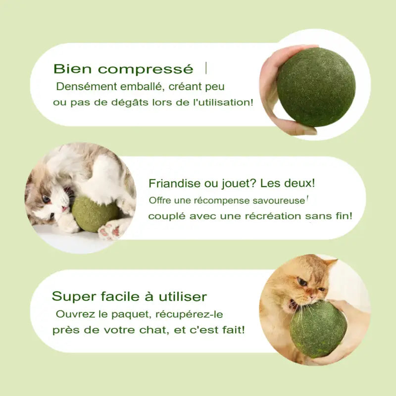 Bola de hierba gatera gigante para juego activo de gatos