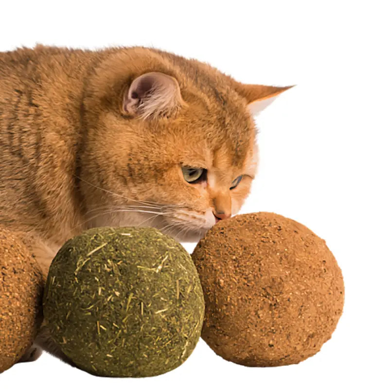 Bola de hierba gatera gigante para juego activo de gatos