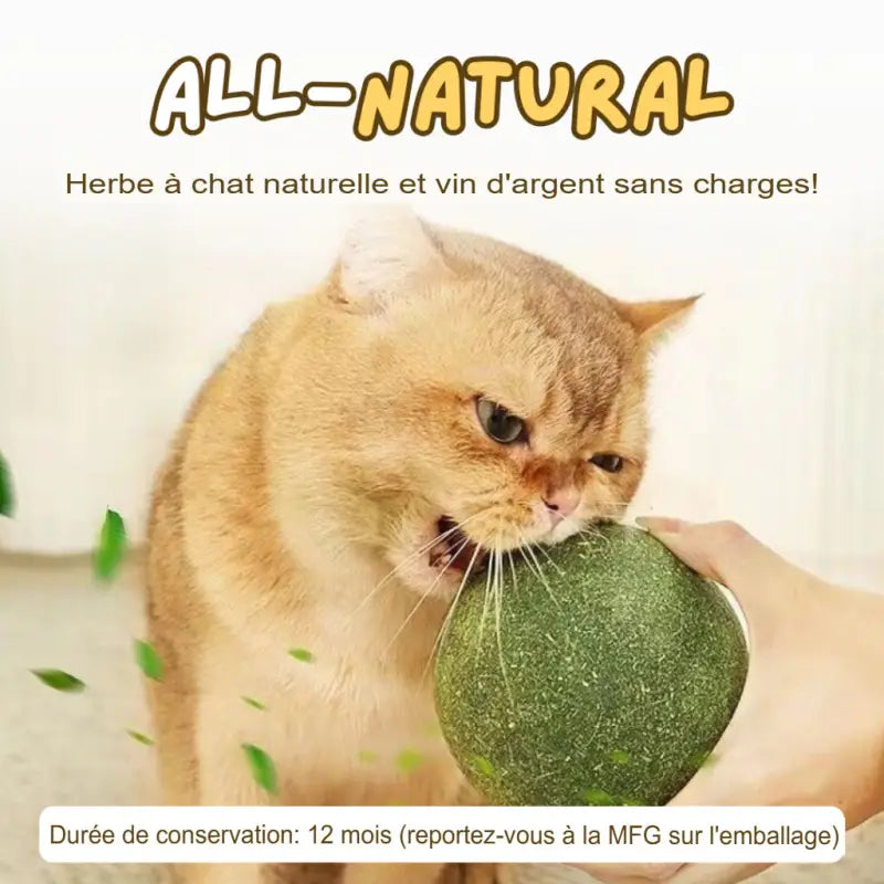 Bola de hierba gatera gigante para juego activo de gatos