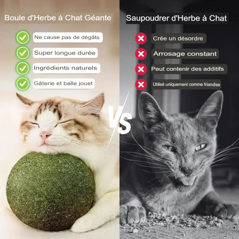 Bola de hierba gatera gigante para juego activo de gatos