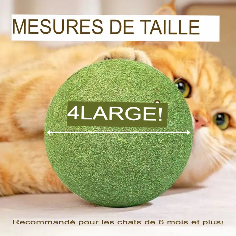 Bola de hierba gatera gigante para juego activo de gatos