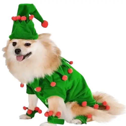 Bonnet pour Chien & Costume Lutin de Noël Transparent Background