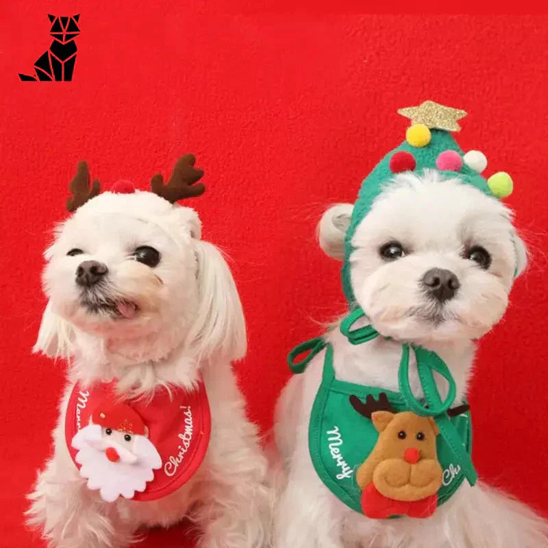 Deux chiens coiffés de bonnets de Noël, tenant un animal en peluche, illustrent l’esprit festif de Noël