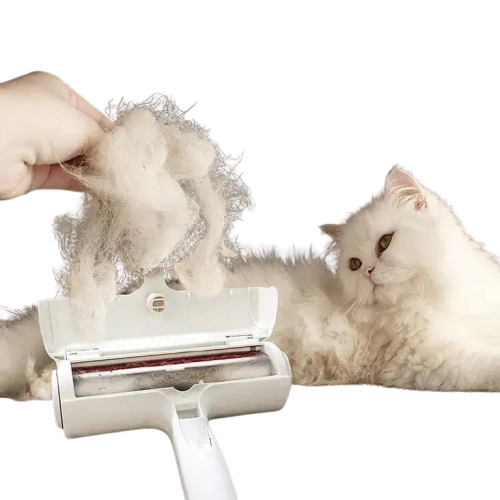 Chat couché sur le sol avec une brosse CoolClean, efficace pour le toilettage anti-poils Transparent Background