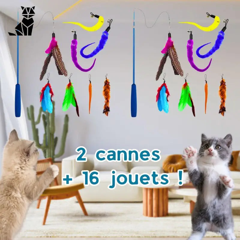 La canne magique pour chat ❘ Magicanne™