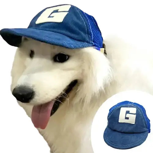 Chien en chapeau chic avec une casquette de baseball de Denim Cap for Dogs, offrant une protection élégante Transparent Background