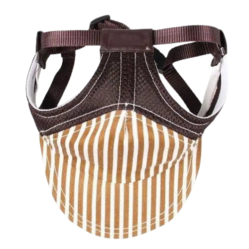 Casquette pour Chien Motard Rétro Transparent Background