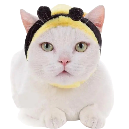 Chat blanc en costume d’abeille unique, chapeau de chat Maya L’Abeille : design confortable Transparent Background