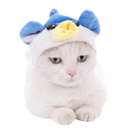 Bob pour Chat Mignon Transparent Background