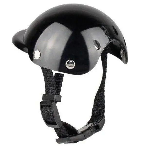 Chapeau pour Chien Protection Moto