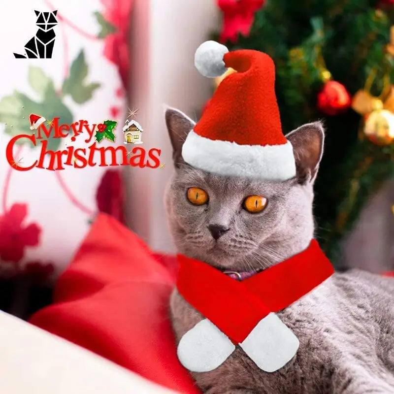 Bob pour Chat Père Noël