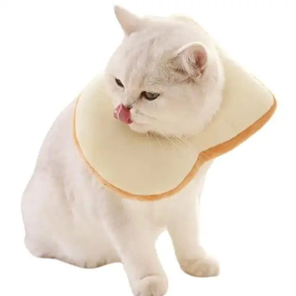 Chapeau pour Chat Cosplay Toast