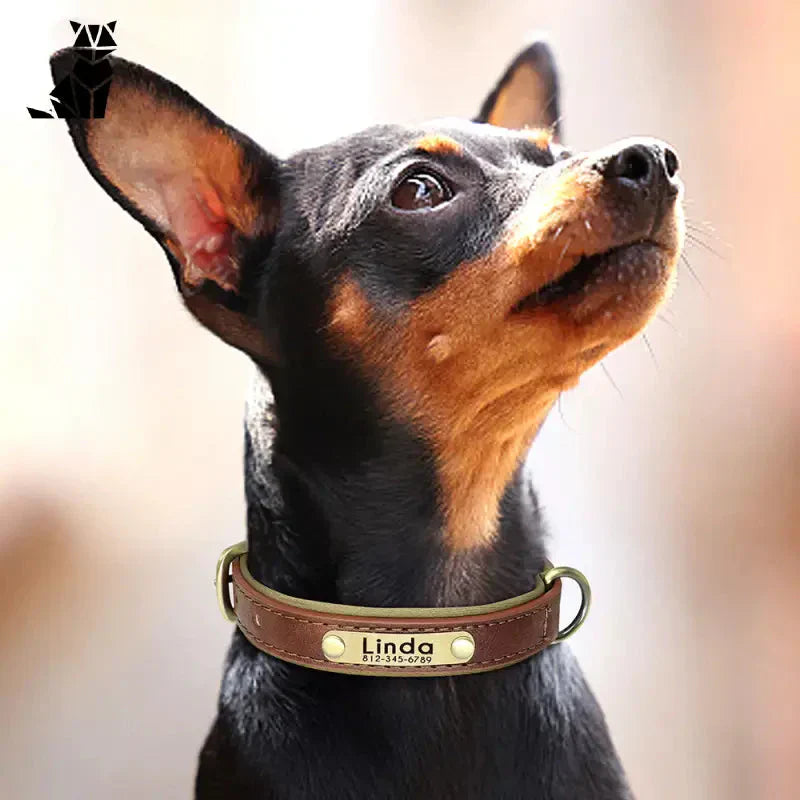 Collier chien en cuir personnalisable