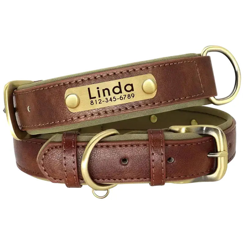 Collar perro cuero adaptable con placa de nombre grabada para