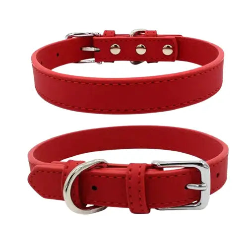 Collier pour Shiba Inu Transparent Background