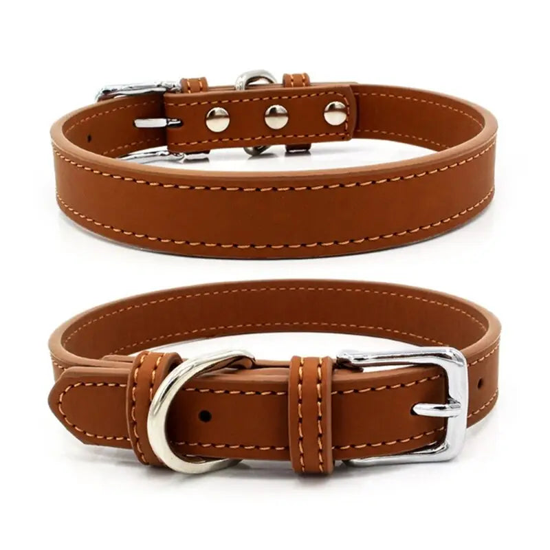 Collier pour Shiba Inu
