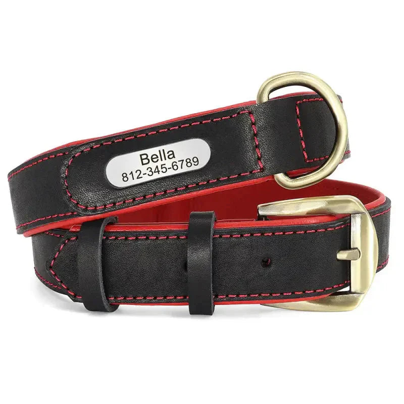 Collier en cuir personnalisable avec couture rouge, robuste et élégant pour chien