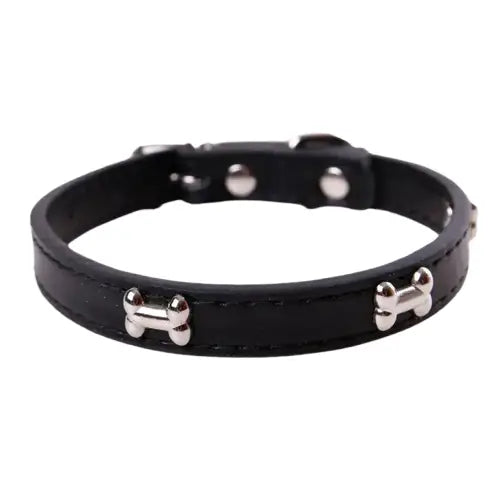 Collier pour Beagle Transparent Background