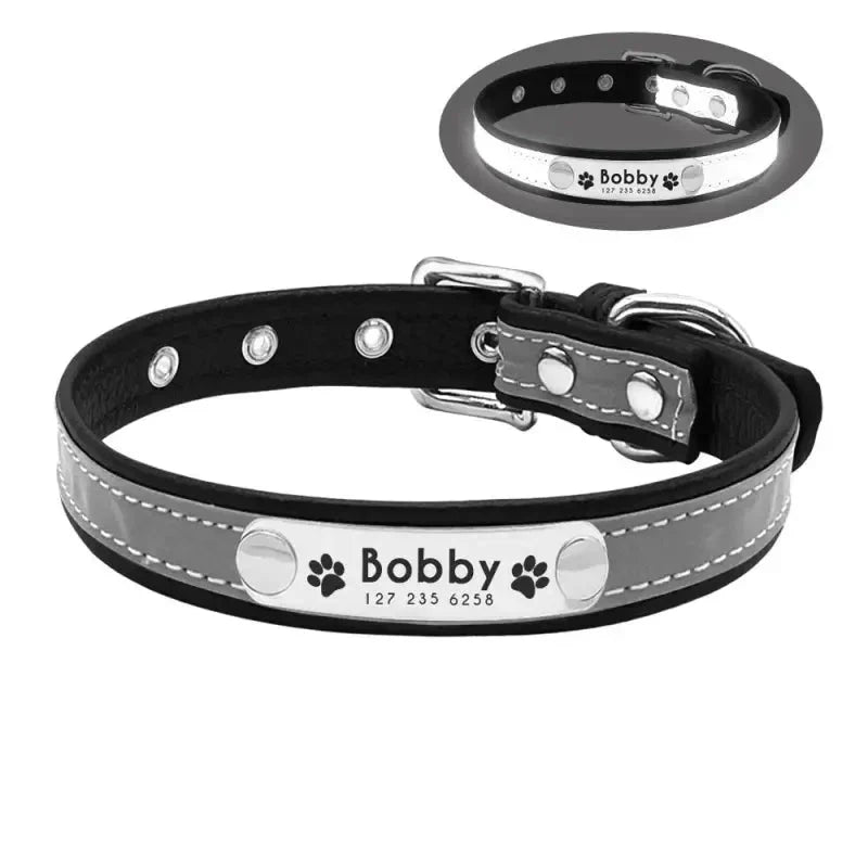 Collier pour chien et chat lumineux