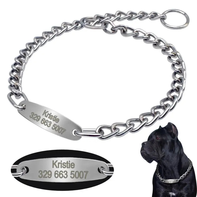 Collier Chaîne Pour Chien Personnalisable