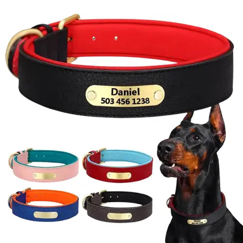 Collier Pour Chien En Cuir Personnalisable Transparent Background