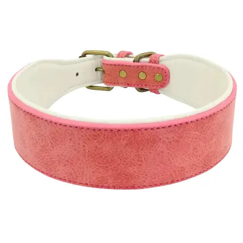 Collier pour Levrier Transparent Background