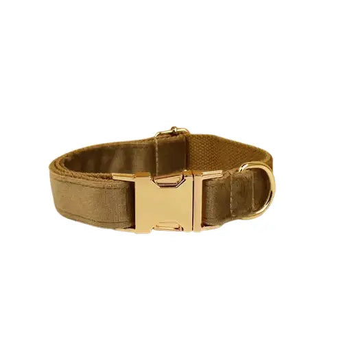 Boucle dorée sur toile marron Collier en velours personnalisable pour petits chiens, à l’usure Transparent Background