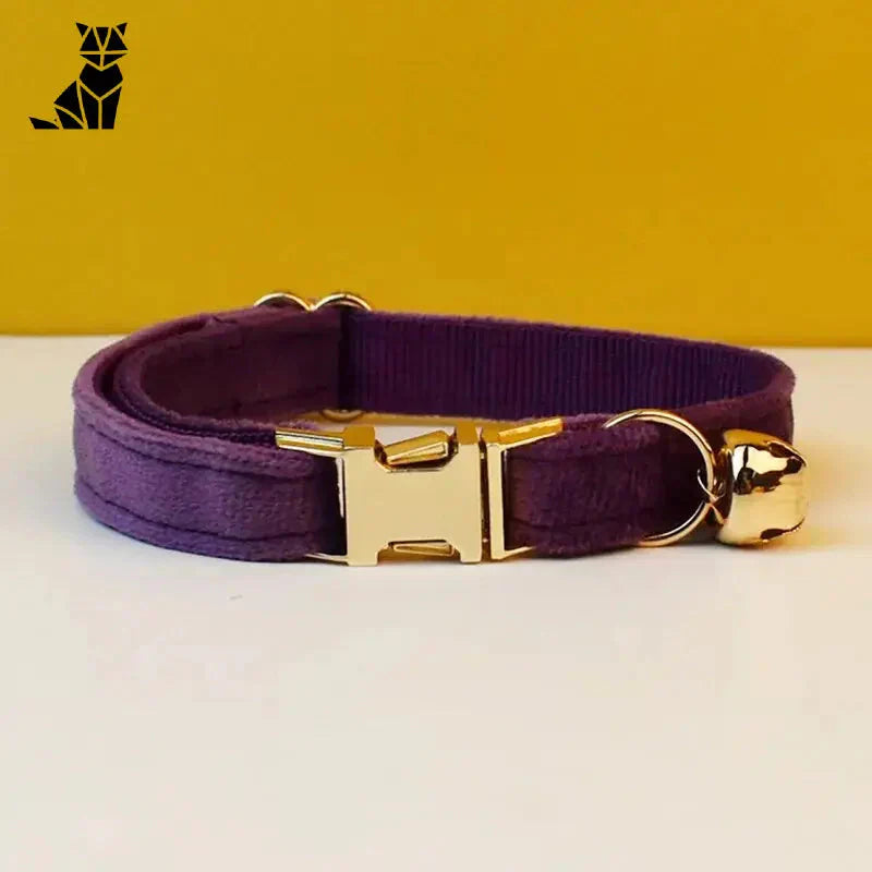 Velours personnalisé animal : Collier pour chien violet avec boucle dorée, idéal pour les chats