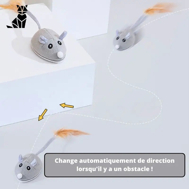 Souris pour chat | Souricat™