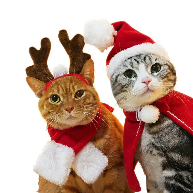 Deux chats en costume d’Halloween : Chapeaux et écharpes de Noël déguisement pour chats