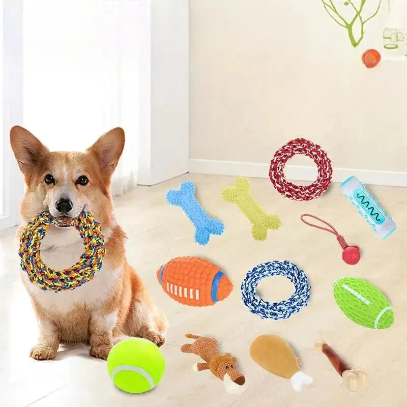 Dog enjoying Canine Fun Toy Set - jouets à mâcher pour animaux de compagnie joueurs