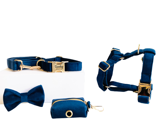 Kit Complet Chien Personnalisé Velours Bleu Marine Transparent Background