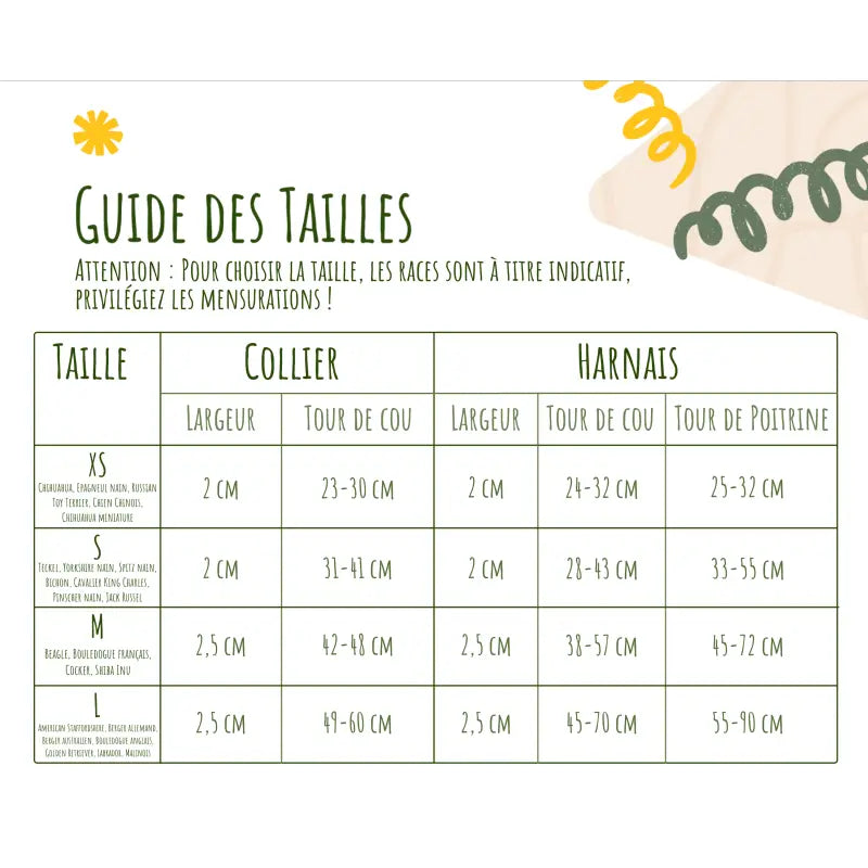 Kit Complet Chien Personnalisé Velours Côtelé Corail