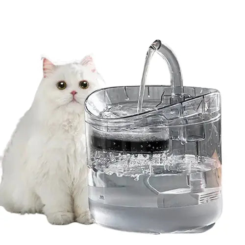 Chat assis sur une table à côté d’une eau fontaine pour chats - Fresh Hydration Transparent Background