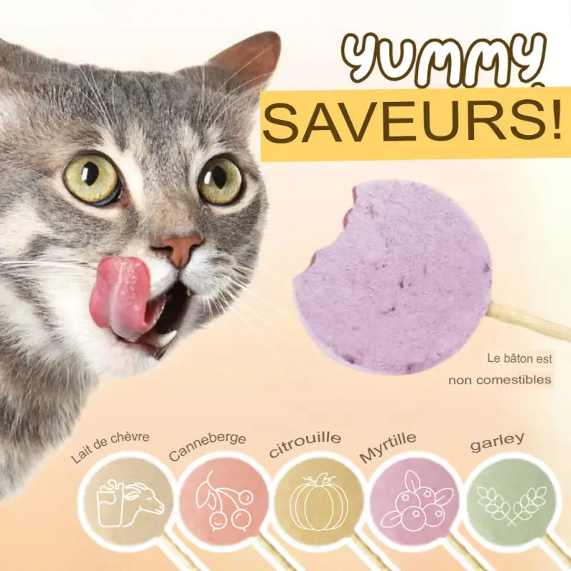 Friandise para Gato Lollipop