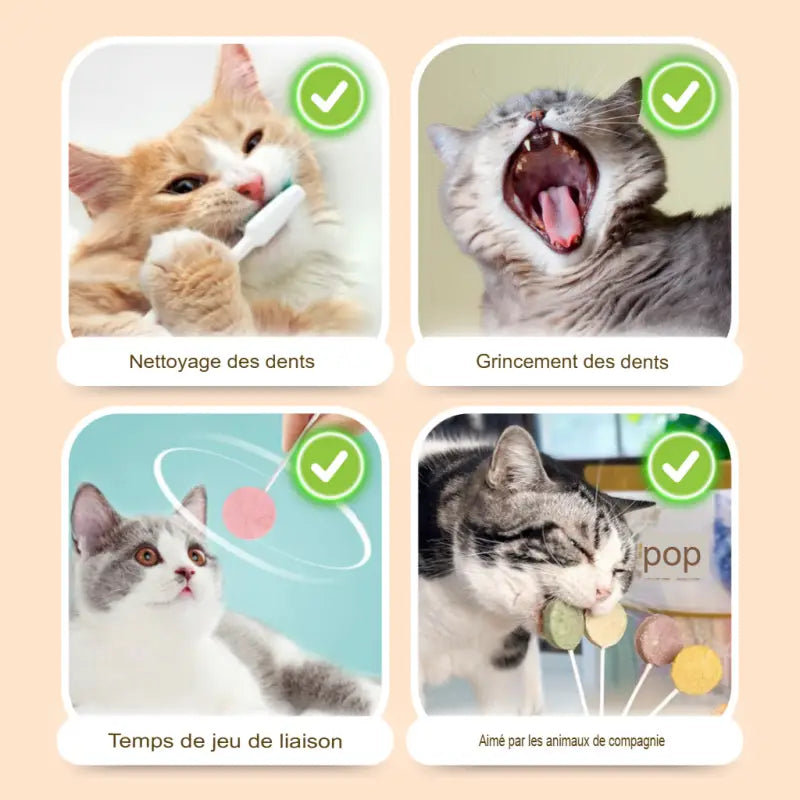 Friandise para Gato Lollipop