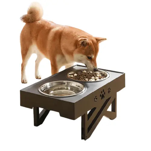 Gamelles à hauteur ajustable pour chien Transparent Background