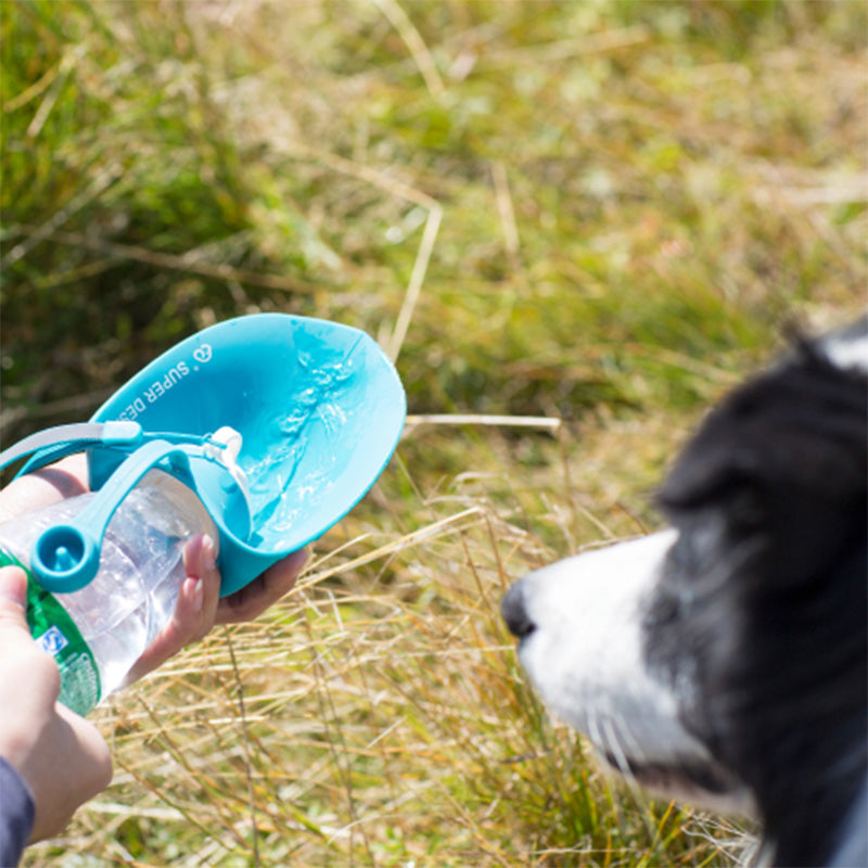 Gourdes portatives pour chien et chat