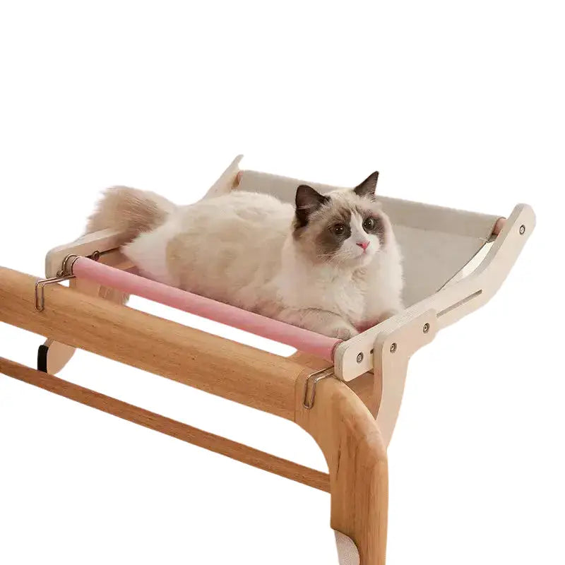 Chat se relaxant dans un lit hamac suspendu et moelleux - une vue parfaite pour votre ami félin Transparent Background