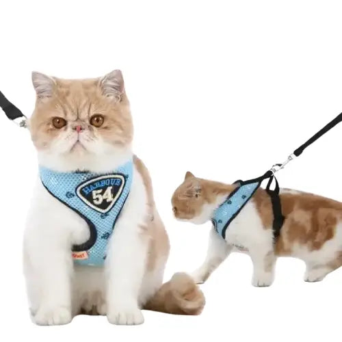 Harnais Chat Catsecure™: Aventures Illimitées Avec Votre Félin! Transparent Background