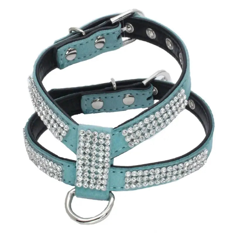 Harnais pour Chihuahua de luxe